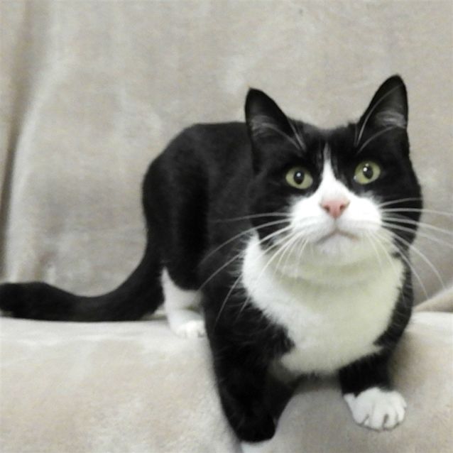 Photo of Clyde