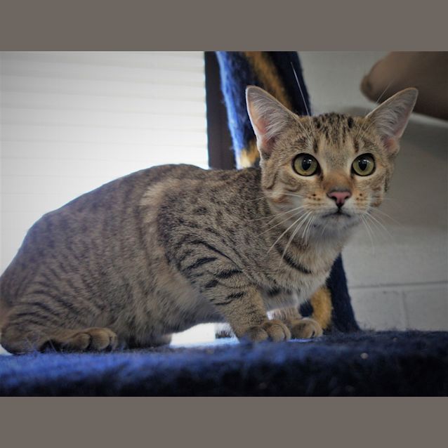 Photo of Hazel
