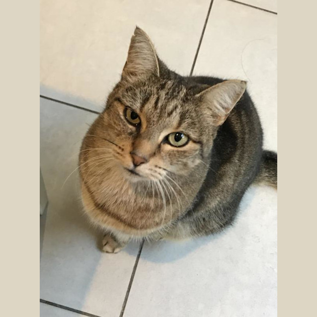 Photo of Phoebe