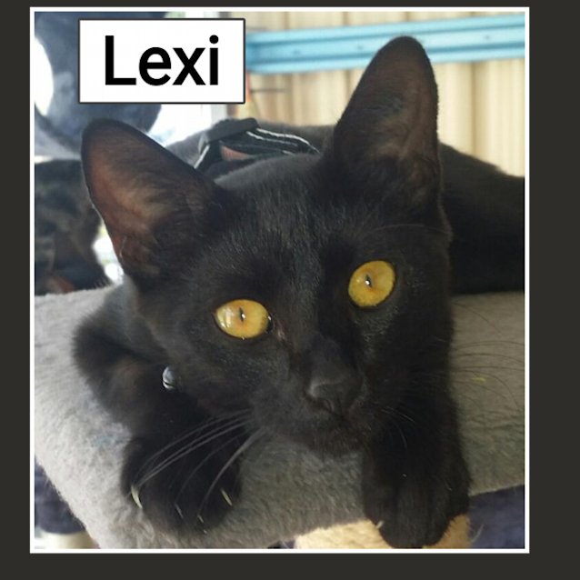 Photo of Lexi