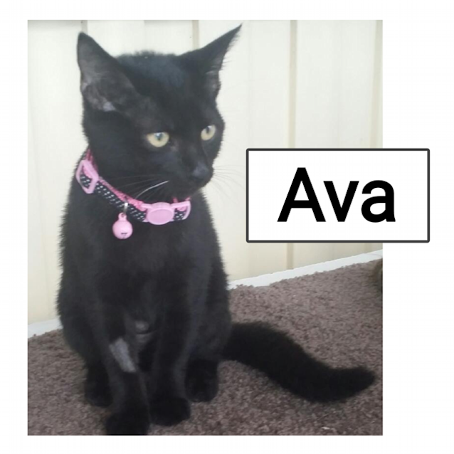 Photo of Ava