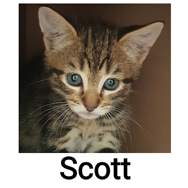 Photo of Scott