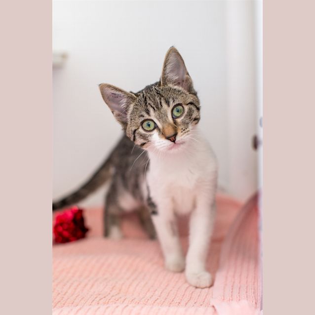 Photo of Fiona
