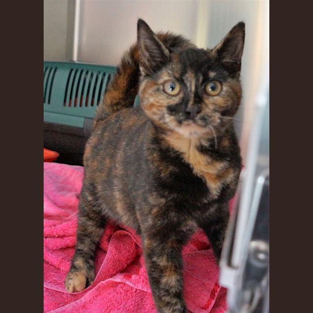 Photo of Penelope