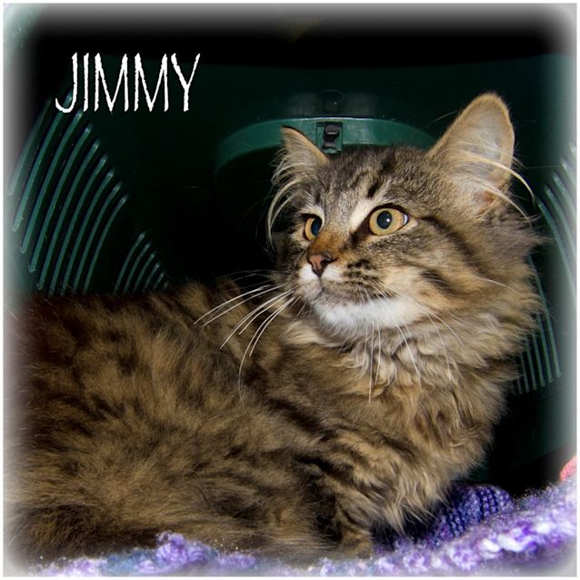 Photo of Jimmy