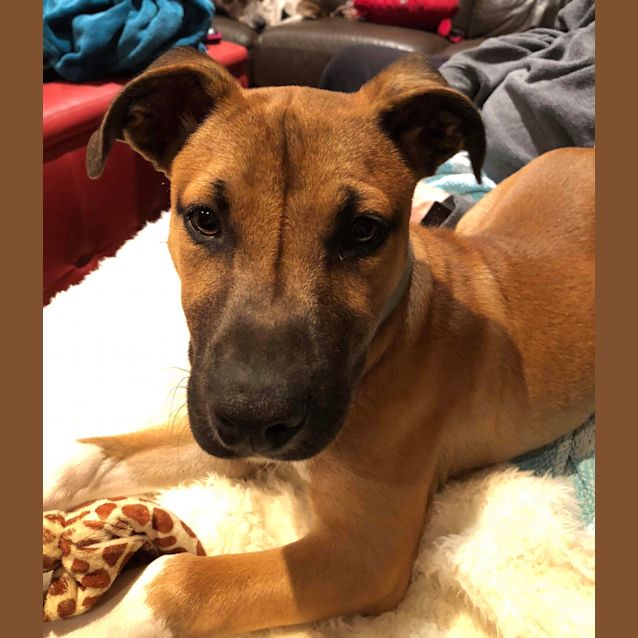 Photo of Loki Odinson 😍