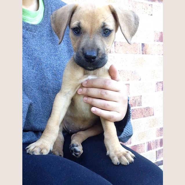 Photo of Belle