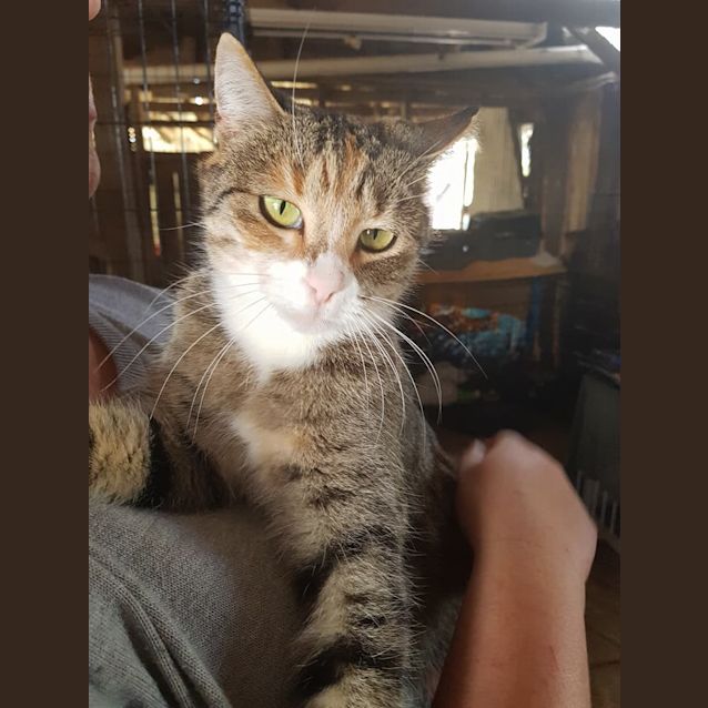 Photo of Molly