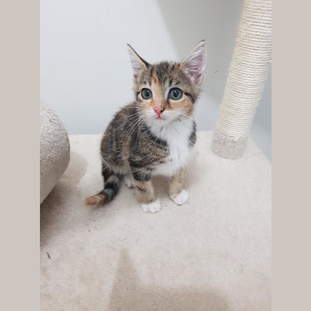 Photo of Macey