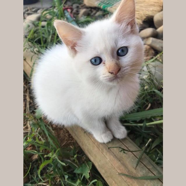 Photo of Charlotte
