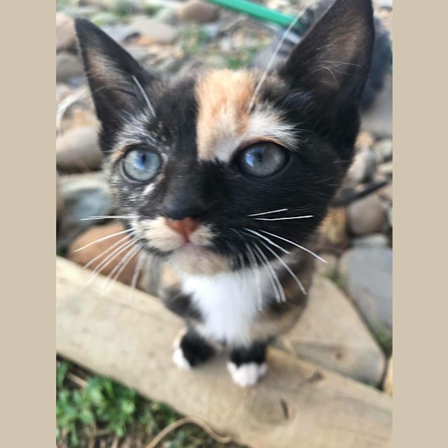 Photo of Elsie