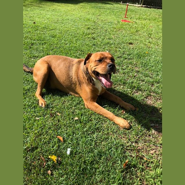 Photo of Blue