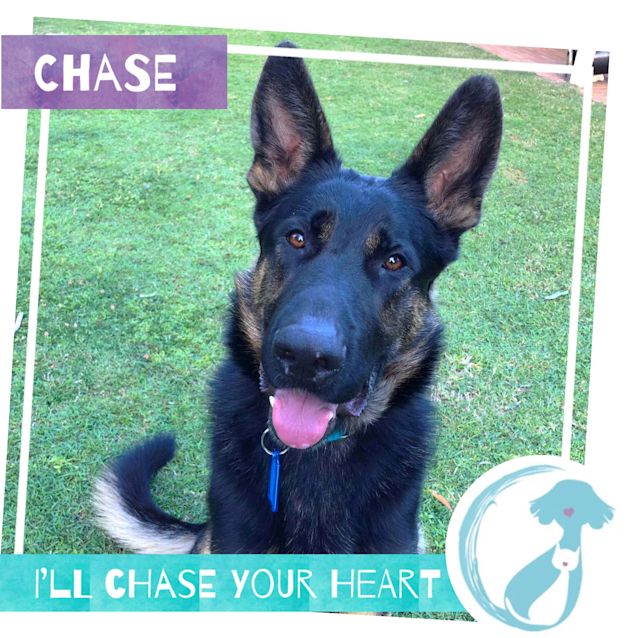 Photo of Chase