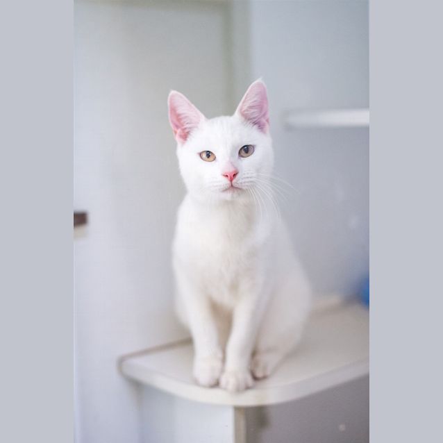 Photo of Tommy