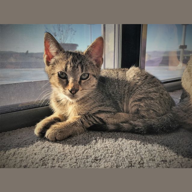 Photo of Edgar