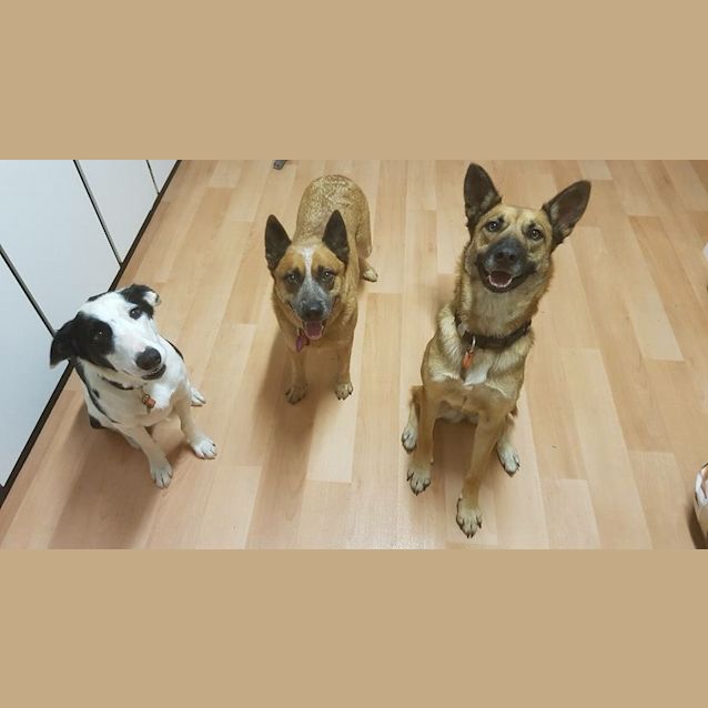 Photo of Bronnie Db371