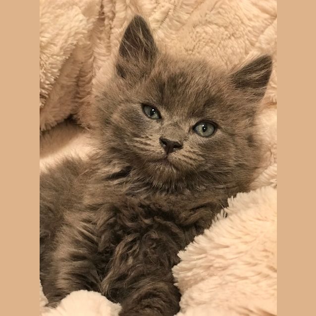 Photo of Autumn 🍂 