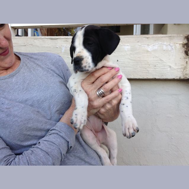 Photo of Gracie