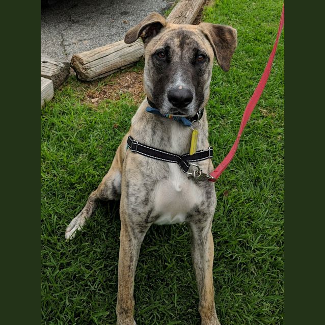 Photo of Tucker **On Trial**