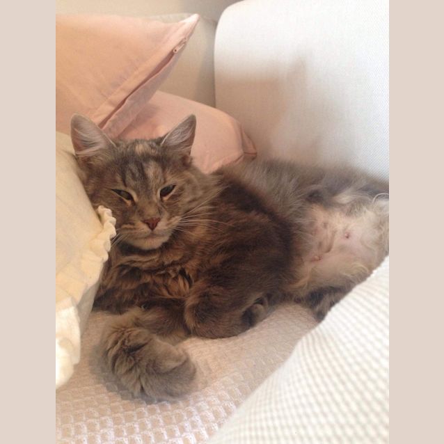 Photo of Tabitha 