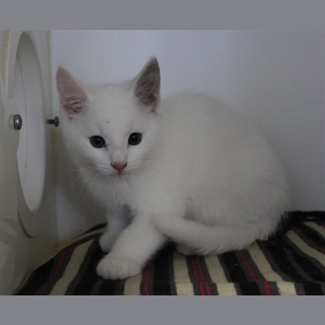 Photo of Luca