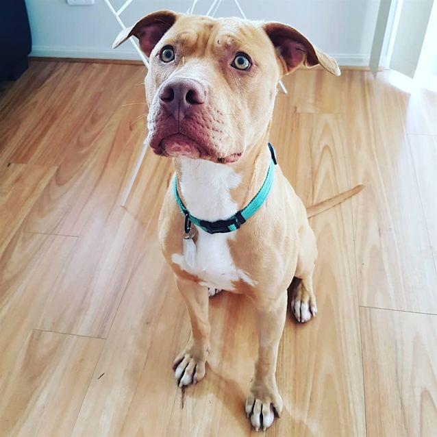 Photo of Chance