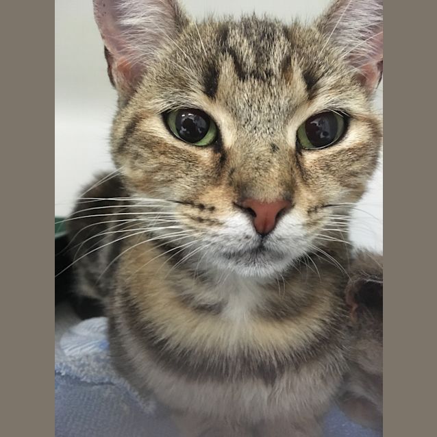 Photo of Kaiya