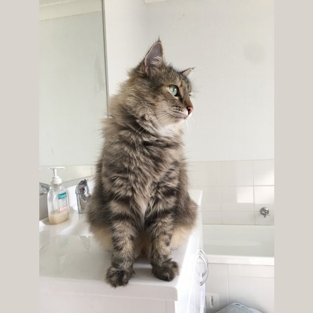 Photo of Luna