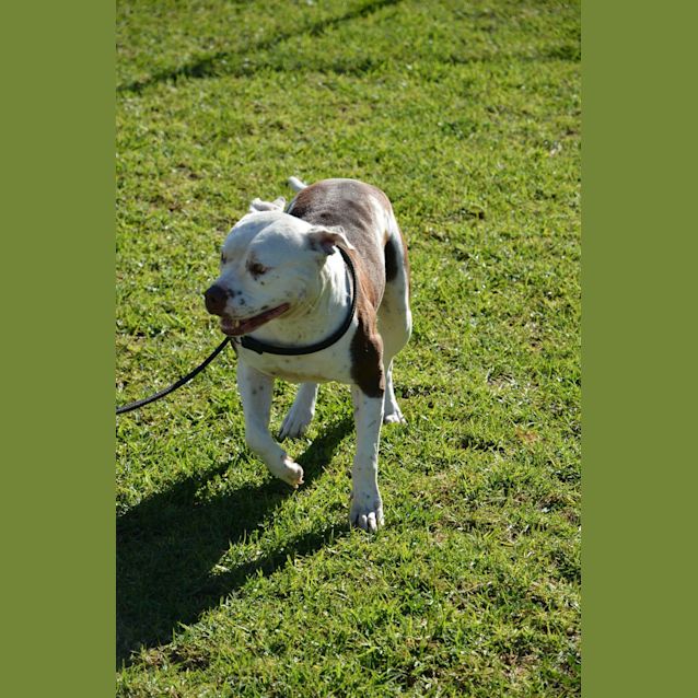 Photo of Maddie Dl1905