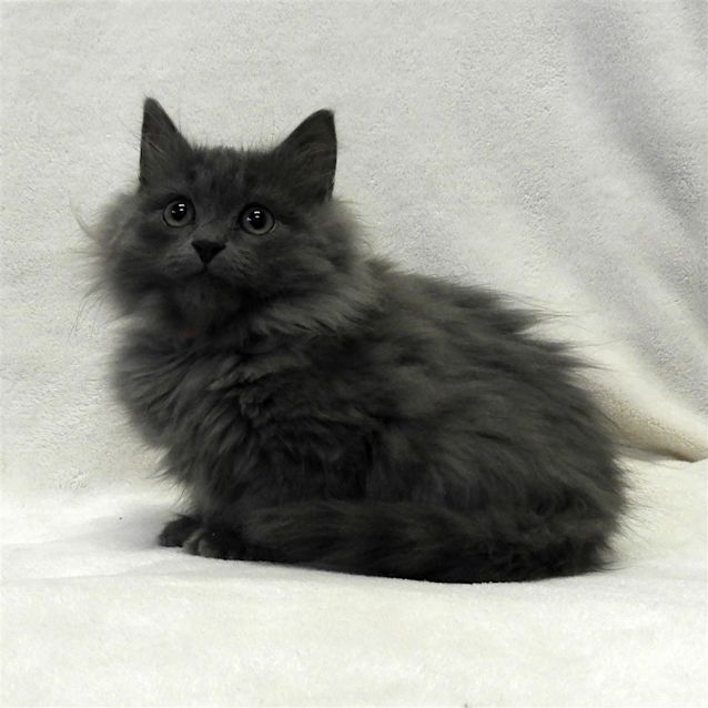 Photo of Buffy