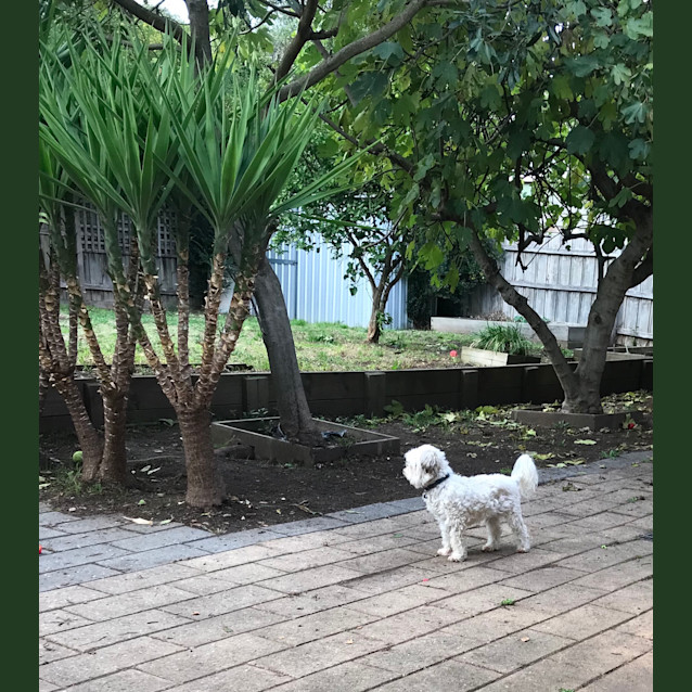 Photo of Noah 