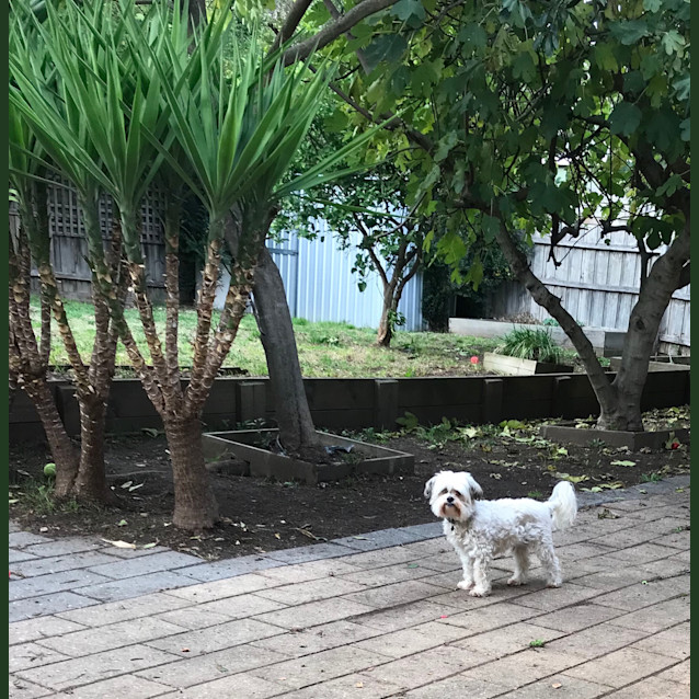 Photo of Noah 