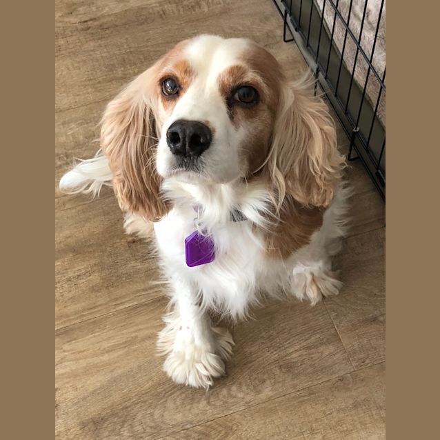 Photo of Missy