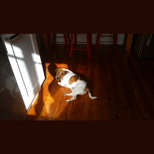 Photo of Charlie Aka  Boombah