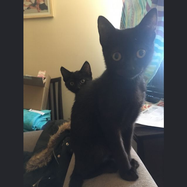 Photo of Bug