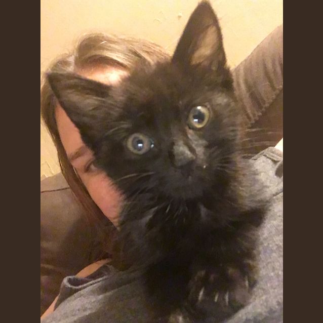Photo of Milly
