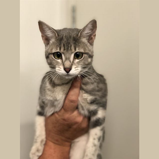 Photo of Jazzmyn