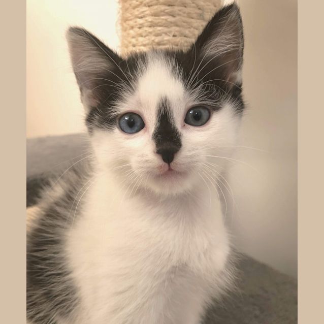 Photo of Manny The Heartbreaker