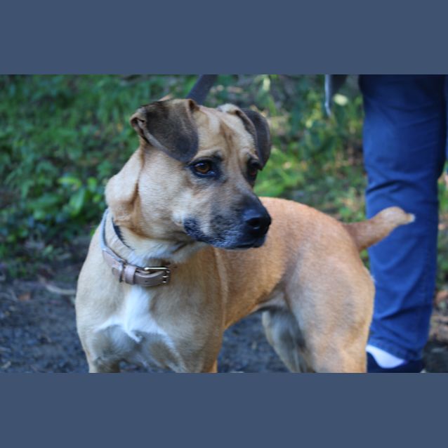 Photo of Rorke And Roxy