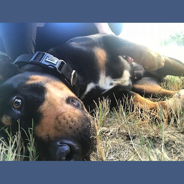 Photo of Rusty Db369