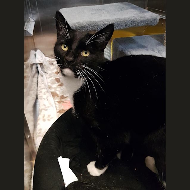 Photo of Bobbington