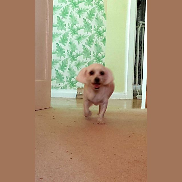 Photo of Hunny (Is Sweet)