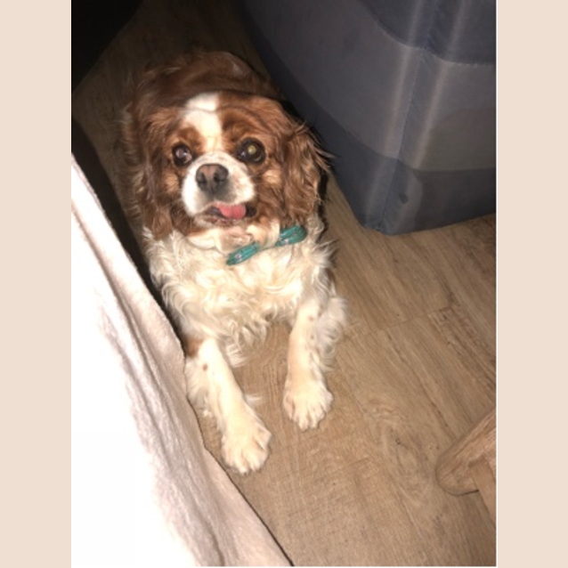 Photo of Glady   Special Needs