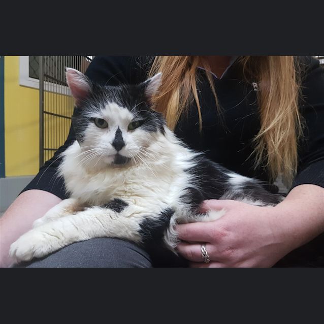 Photo of Felix