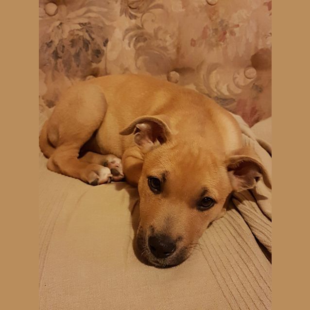 Photo of Sprout