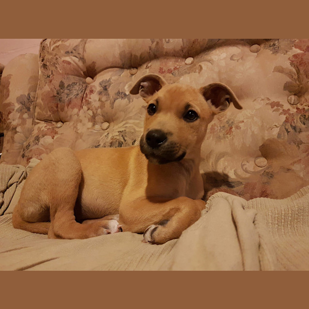 Photo of Sprout