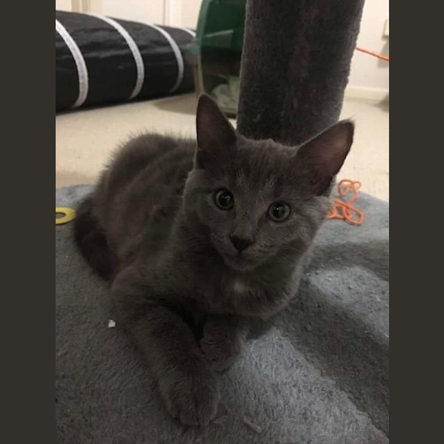 Photo of Mini