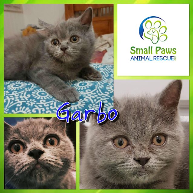 Photo of Garbo