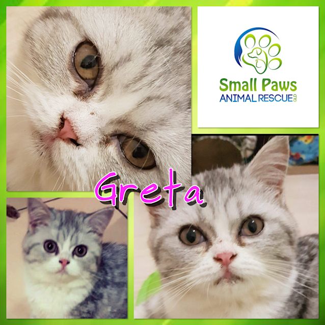 Photo of Greta