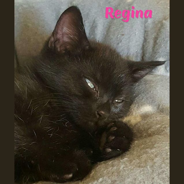 Photo of Regina 